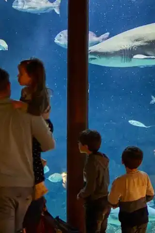 aquarium