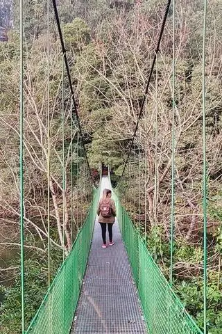 puente colgante