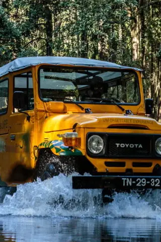 jeep 4x4