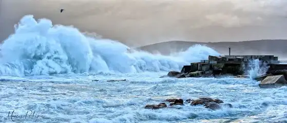 costa10