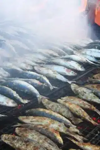 sardinas